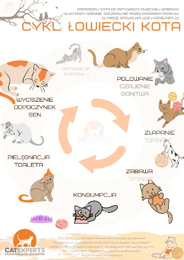 Niuska - @PrawdziwyEuropejczyk "musi żyć" - no, zamknięty w domu pożyje statystycznie...