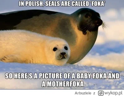 Arbuzlele - #heheszki #humorobrazkowy