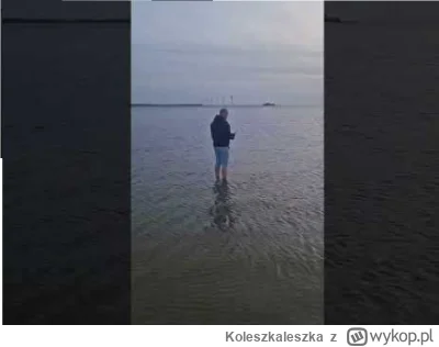 Koleszkaleszka - #sebcel
A pamiętacie jak bambus wziął 4 oddechy Wim Hoffa, wszedł po...