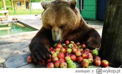 annlupin - @youngP:  a chcesz japko