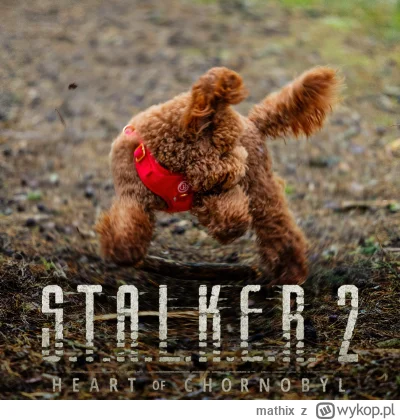 mathix - Patrzcie na jaką anomalię trafiłem w lesie
#stalker #smiesznypiesek #stalker...