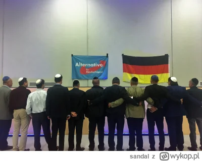 sandal - Najbardziej pro-niemiecka partia to #AfD tak jak najbardziej pro-polska to #...