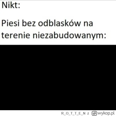 ROTTE_N - #humorobrazkowy