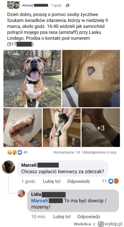 WielkiNos - #psiarze #czarnyhumor #warszawa