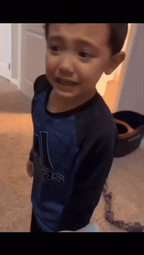 jestemtakizmeczony - #zwierzaczki