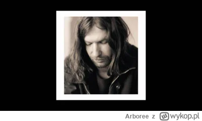Arboree - @persevere: z takich moich ulubionych Aphex Twina, to ten jest dla mnie muz...