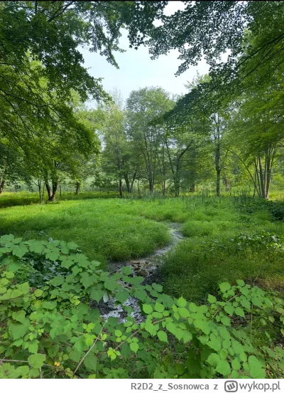 R2D2zSosnowca - @R2D2zSosnowca VIII