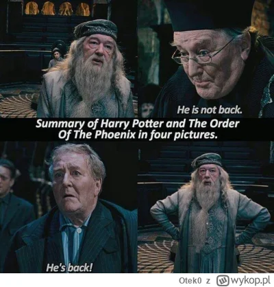Otek0 - #harrypotter ale będzie. Papa wszystkim
