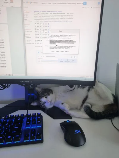 b0dyload - @b0dyload: nie pacz w ten kąkuter, pacz na mnie!