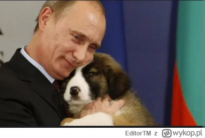 EditorTM - @serwis-dzwieku: