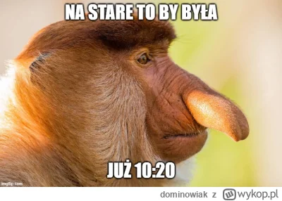 dominowiak - #heheszki