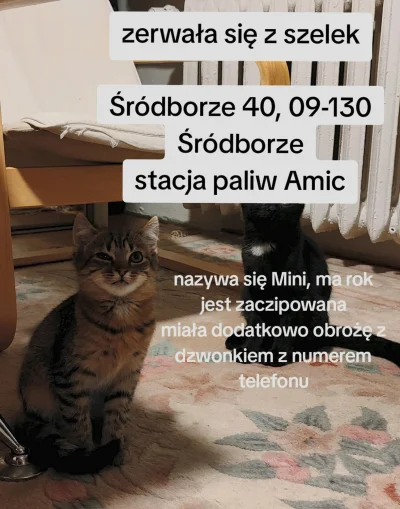 Atreyu - @Rikitana19 - słuchaj tu są starzy ludzie, #wykop30plus (30k obserwujących),...