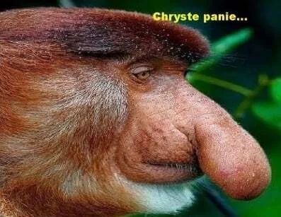 red7000 - Amorim mówił, że nie są gotowi na grę w pucharach. Nie wiedziałem, że miał ...