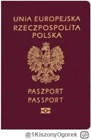 1KiszonyOgorek - #raportzpanstwasrodka klapek zwizyzaulizowywałeś już sobie paszport ...