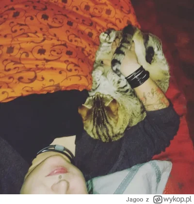 Jagoo - @Zmorka już za tęczowym mostem, ale to mój Tygrysek.