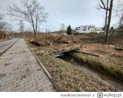 kasiknocheinmal - Widocznie Miłościwie Panującemu Prezydentowi na zieleni nie zależy....