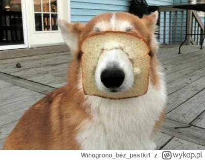 Winogronobezpestki1 - @wfyokyga: