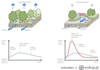 boboliwo - #powódź