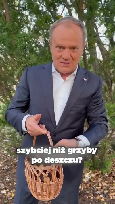 Nighthuntero - Dla porównania Tusk na grzybach