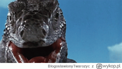 BlogoslawionyTwarozyc - Wygląda na to, że już nowy #wykop działa ( ͡º ͜ʖ͡º) Wbrew pow...