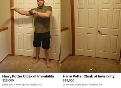 Gavran - #harrypotter