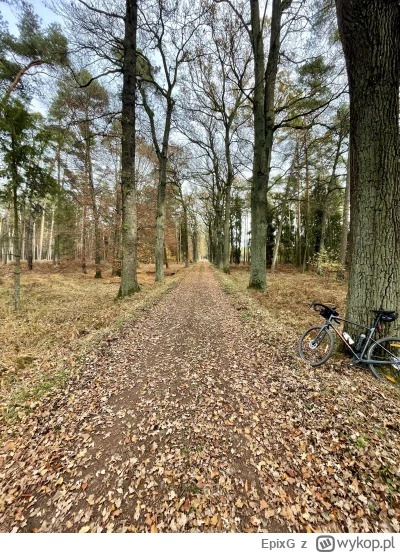 EpixG - 634 324 + 66 + 23 + 79 = 634 492



#rowerowyrownik

Skrypt | Statystyki