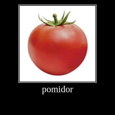 lpkcim - #pomidor pomidor