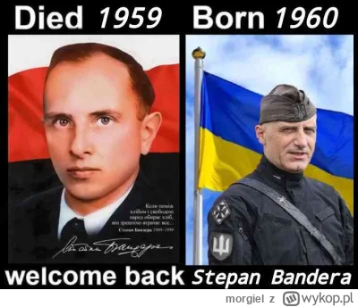 morgiel - #heheszki #humorobrazkowy #szury #jablonowski