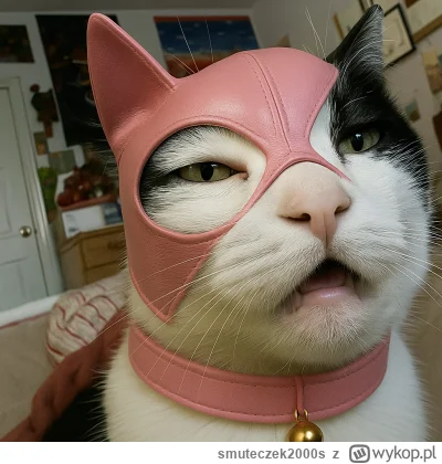 smuteczek2000s - No witam. Pora zaktualizować zdjęcie profilowe.