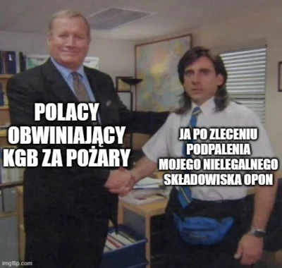 czlowiekzlisciemnaglowie - #humorobrazkowy #heheszki #memy #pozar