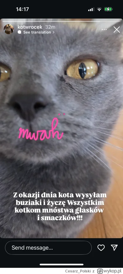 Cesarz_Polski - #kotekwrocek #wroclaw