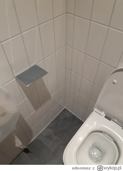 adisoniusz - U mnie w korpo nawet zrobili półke do walenia szczurów w kiblu