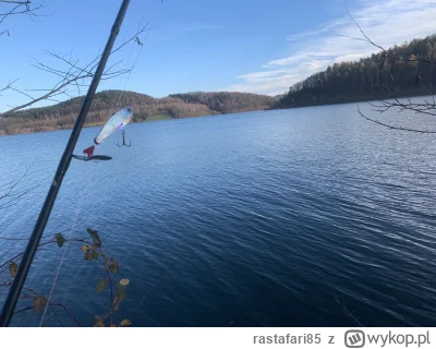 rastafari85 - Ale pizga złem