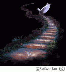 Soilworker - @RudyZibi: pacjenta nie ma już z nami. Piękny mial pogrzeb.