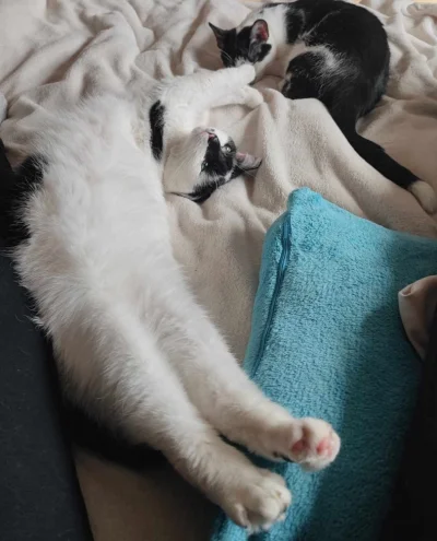 ultrasonic - @mocarnyknur  chyba xD