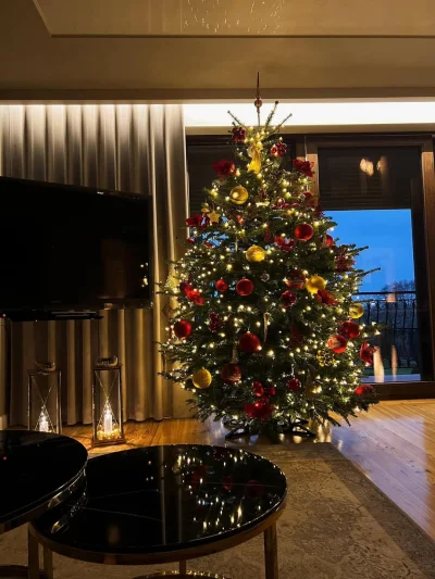 jmuhha - Bylibyście szczęśliwi mając taką choinkę w spłaconym domu?