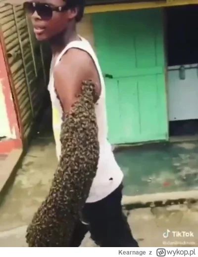 Kearnage - ##!$%@? #pszczoly #ciekawostki
Chłop se wyszedł z pszczółkami na spacer