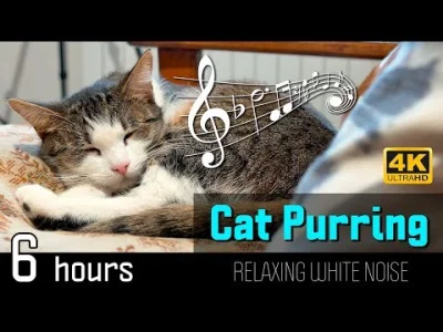 BorowySkrawek - Mruczenie kota w wersji 6 godzin :o 
CAT PURRING

#ASMR #muzyka #whit...