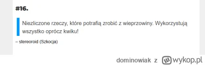dominowiak - #heheszki #joemonster 
Ranking "z czym kojarzy się Polska" (obcokrajowco...