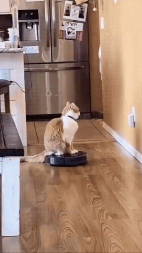 jestemtakizmeczony - @jestemtakizmeczony: