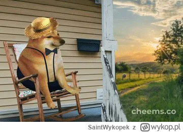 SaintWykopek - Gdzie teraz można sprawdzić swoje wpisy z danego tagu?.
#naukaprogramo...