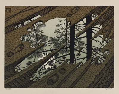 GARN - #sztuka #art #drzeworyt autor: Maurits Cornelis Escher (Dutch, 1898–1972), Pud...