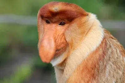 Nighthuntero - @redorbiter: No szkoda szkoda