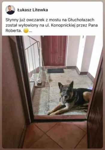 JanDzbanPL - Z tej powodzi to bawi mnie to jak część wykopków w-----a się na wieść że...