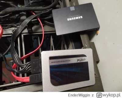 EnderWiggin - @MrAmbalabamba SWAP leci.