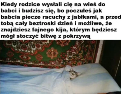 Sonny86 - #heheszki #humorobrazkowy #koty