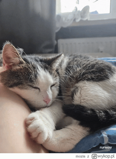 mozis - @Solsith: obudzony ( ͡° ͜ʖ ͡°)