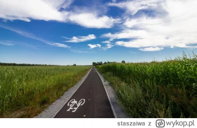 staszaiwa - >Droga dla rowerów to osobna jezdnia - i dopiero na niej obowiązuje ruch ...