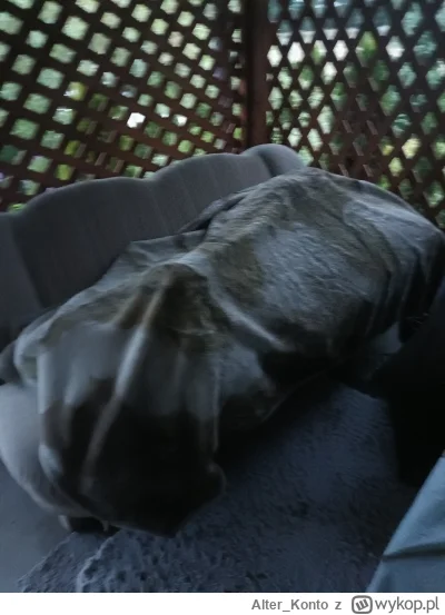 Alter_Konto - #gownowpis
Stary n------y znów śpi na tarasie