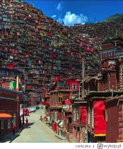 cieliczka - Górska wioska w Tybecie 

#fotografia #ciekawostki #podroze #swiat #zdjec...